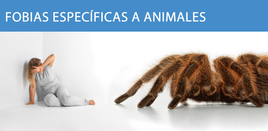 Fobias específicas a animales
