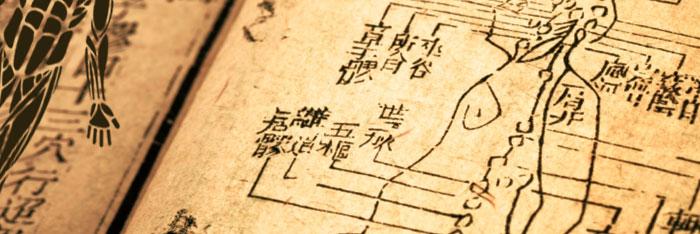 El cuerpo humano en medicina china