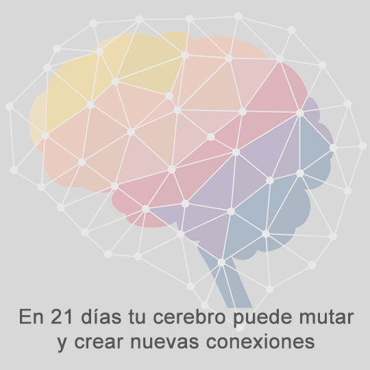 en solo 21 días tu cerebro puede mutar y crear nuevas conexiones