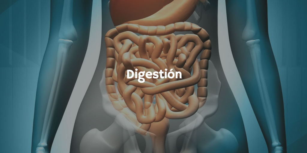 Sodio, calcio y potasio y sus propiedades saludables: digestión