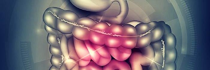 Parásitos intestinales crónicos