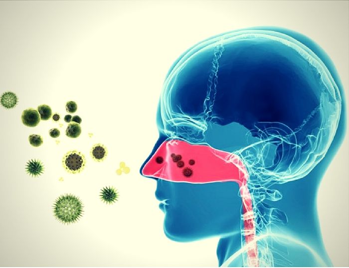 Alergias aéreas y de contacto e intolerancias alimentarias