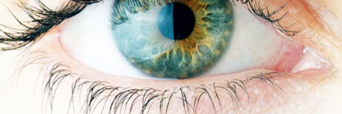 La medicina alternativa en la salud ocular
