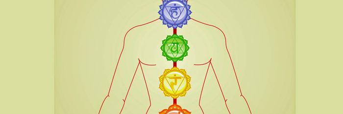 Situaciones de chakras en imágenes: Humanos y animales