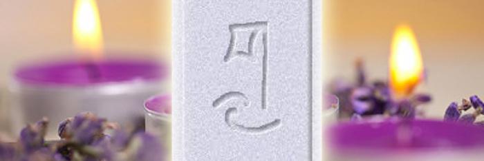 Reiki Wang, reiki de la integración