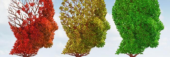 Influencia del otoño en el estado de ánimo