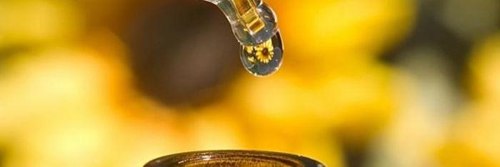 Hablando de homeopatía
