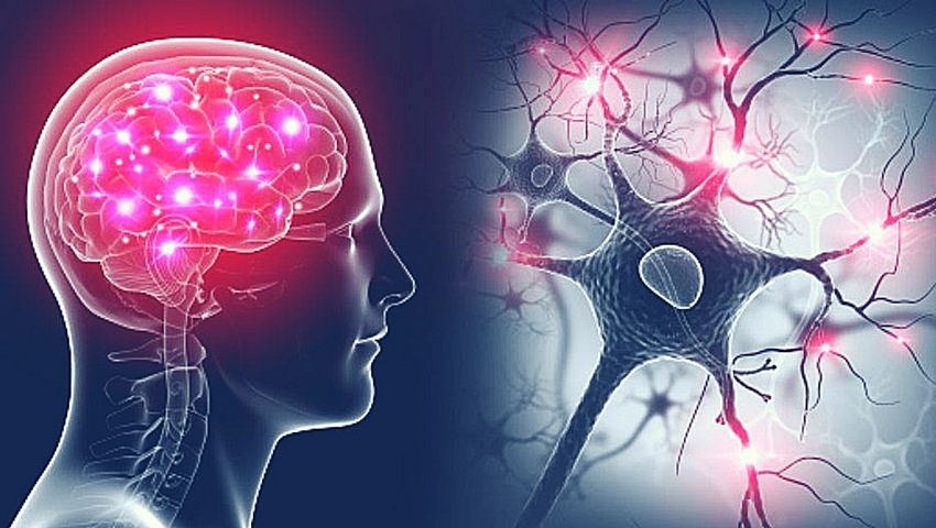 En qué consiste la neurociencia y su utilidad para comprender cómo elaboramos los pensamientos