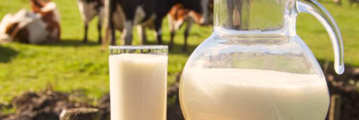 La leche: a cada uno lo que le corresponde