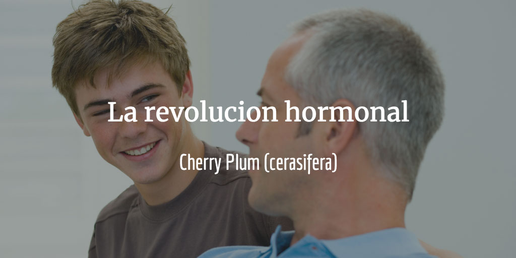 La revolución hormonal del adolescente - cherry plum