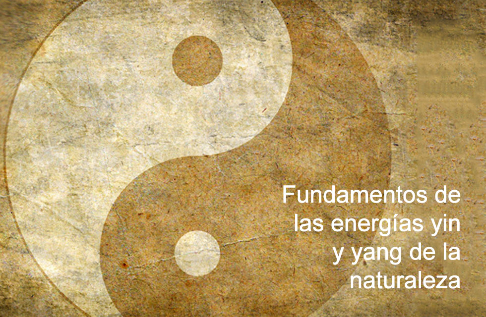 Relación entre la energía vital del hombre y la naturaleza. Establece los fundamentos de las energías yin y yang de la naturaleza