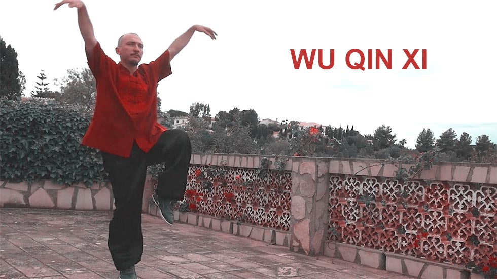 Qigong - práctica de wu qin xi o forma de los cinco animales