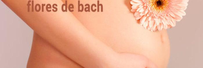 Flores de Bach para ayudar al proyecto de ser padres