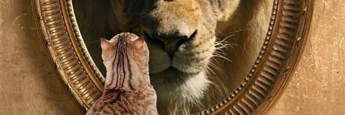 6 Maneras de ver al león en el espejo