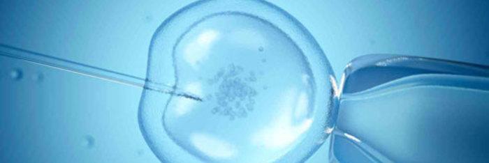 Fecundación in vitro (FIV) y cardiología