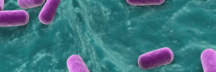 Vaginosis: tratamiento con Homeopatía y Acupuntura