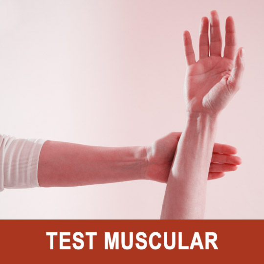 Ejemplo del test muscular (también llamado test kinesiológico o test energético)