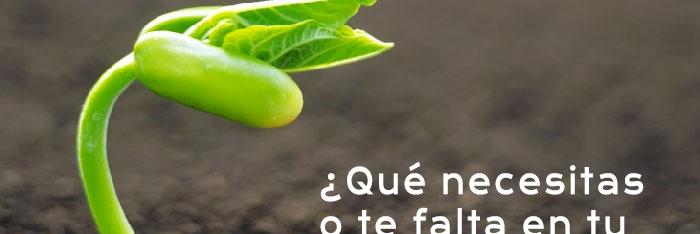 Los beneficios del coaching