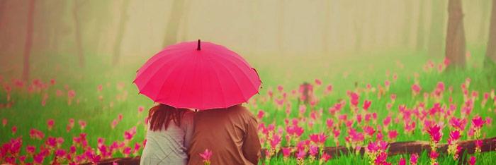 Las relaciones amorosas y flores de bach