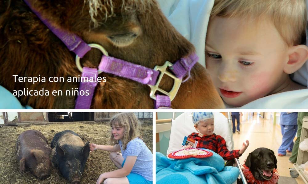 Terapia con animales aplicada en niños
