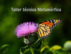 Taller: Técnica metamórfica