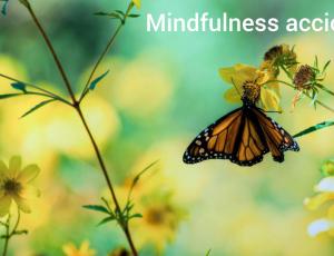 Curso de mindfulness para el estrés y la ansiedad