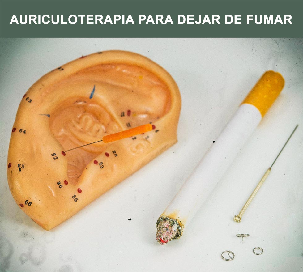 Puntos de la oreja utilizados en la auriculoterapia para dejar fumar