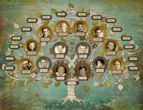 El ciclo evolutivo de la familia