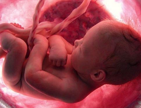 Los beneficios de la estimulacion sectorial prenatal