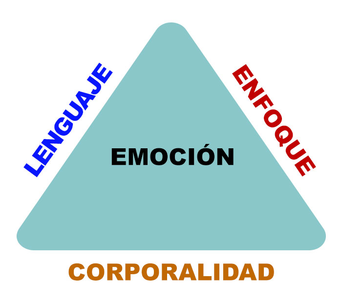 Estructura de la emoción: lenguaje, enfoque y corporalidad