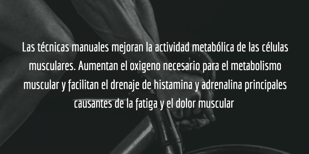 Las técnicas manuales mejoran la actividad metabólica de las células musculares.