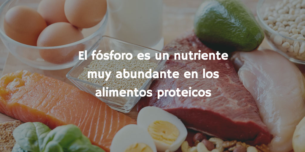 El fósforo es un nutriente muy abundante en los alimentos proteicos (carnes, pescados, legumbres, quesos)