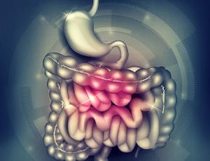 Parásitos intestinales crónicos