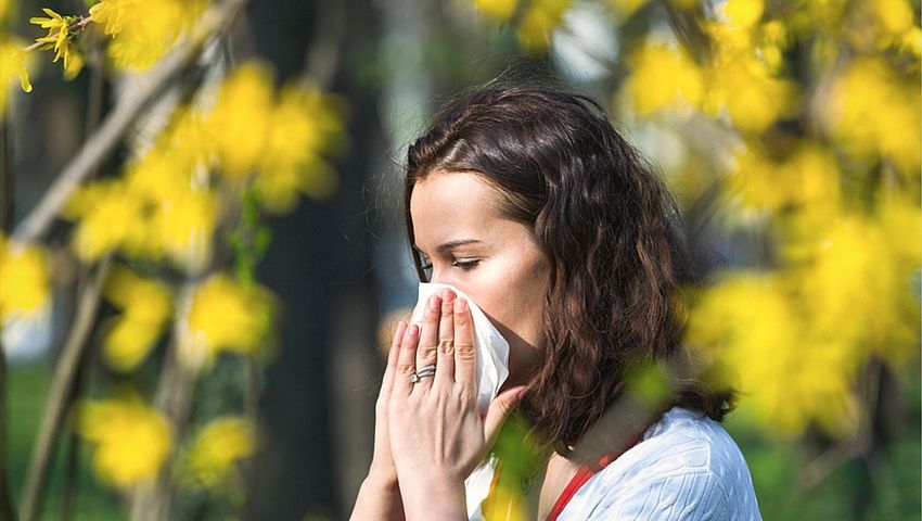 La alergia al polen puede eliminarse tratando los puntos neurolinfáticos