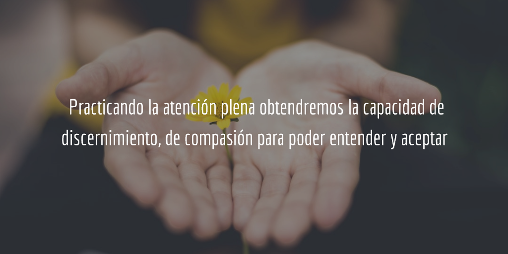 Practicando con la tercera edad mindfulness, se mejora la capacidad de discernimiento, de comprensión y aceptación