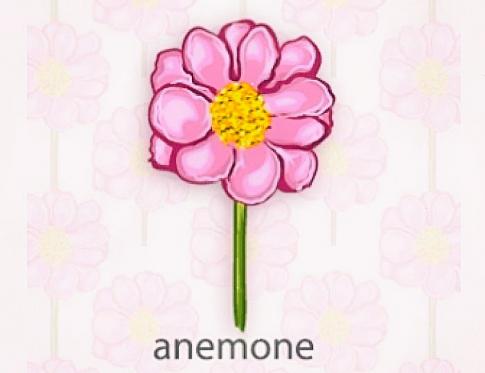Anémona shakti reiki