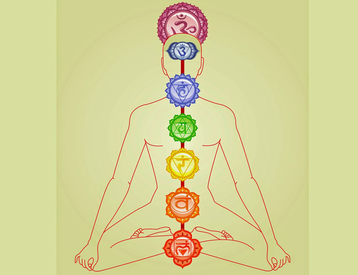 Situaciones de chakras en imágenes: Humanos y animales