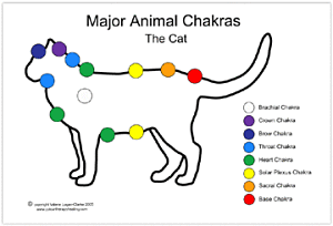 Chakas en el gato