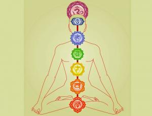 Situaciones de chakras en imágenes: Humanos y animales