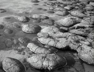 La Geobiología: como hacer de nuestro entorno un aliado de la salud