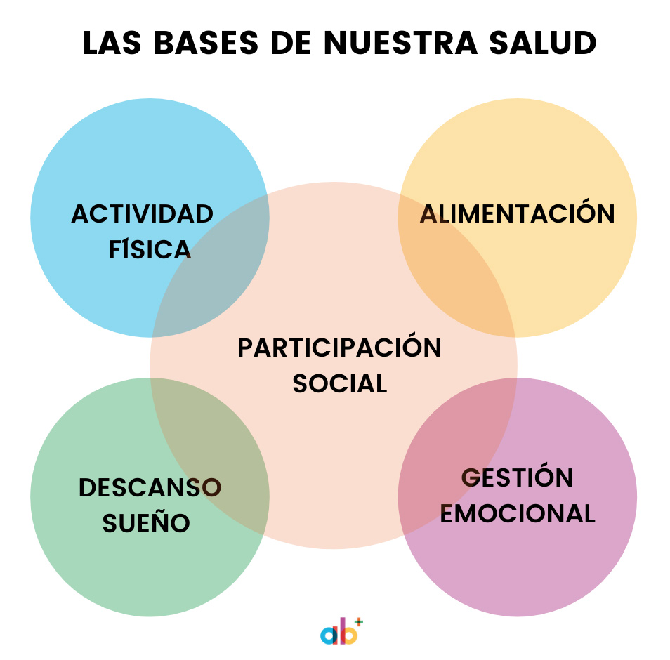 Las bases de nuestra salud