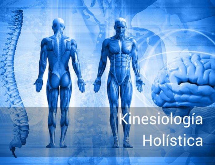 ¿Qué es la kinesiología holística?