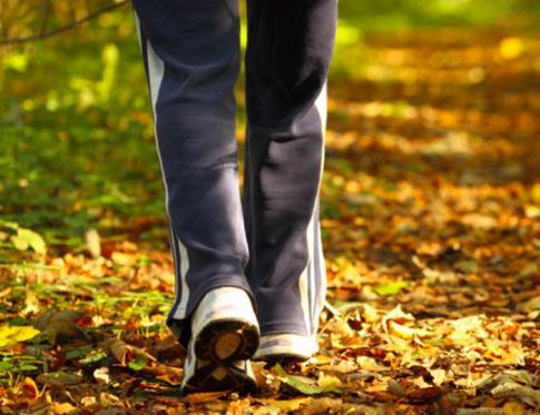 Controla tu salud con el coach - health coach