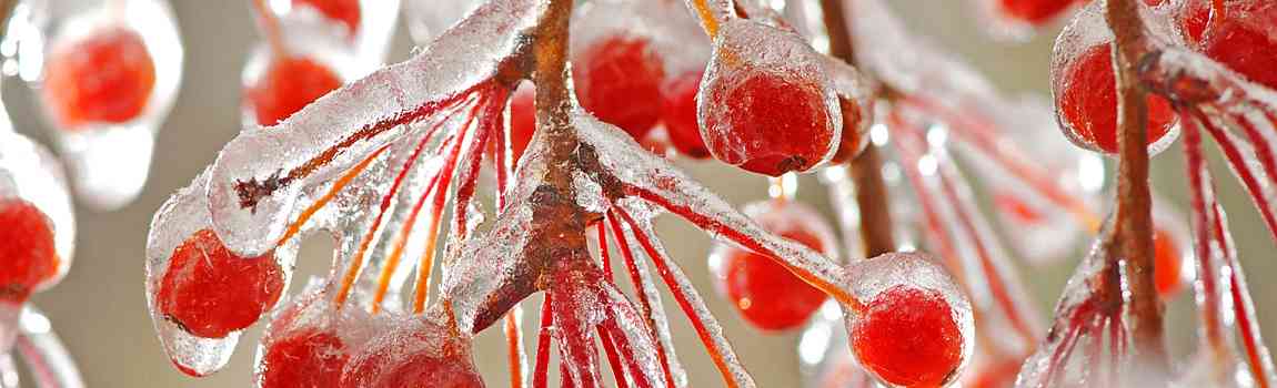 El invierno y como afecta a los huesos