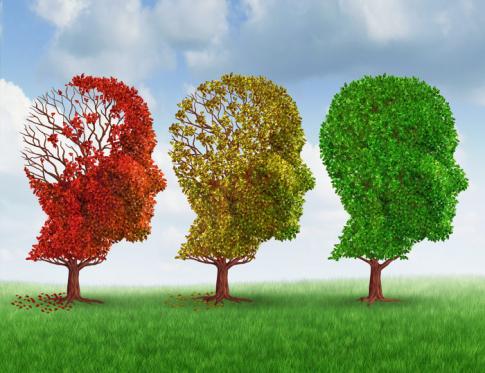 Cómo el otoño influye en nuestro estado de ánimo