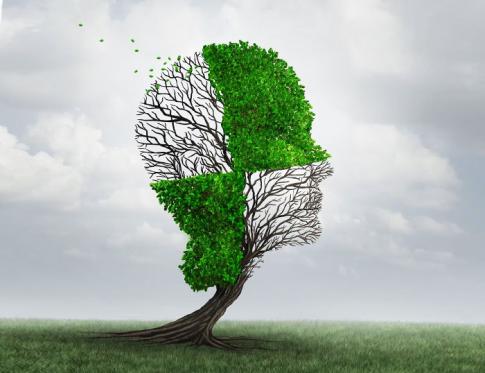 Cómo disfrutar del presente con Mindfulness