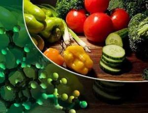 Nutrición elemental ignorada intencionalmente