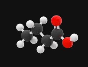 Tributirina y butirato como suplementos: evaluación científica