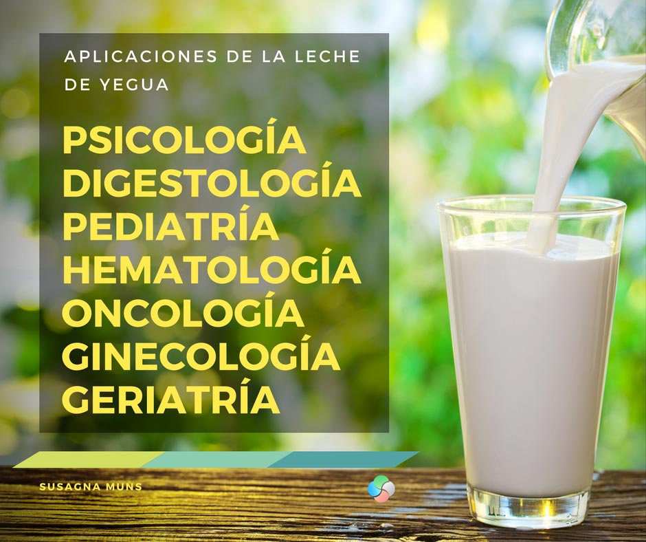 Aplicaciones de la leche de yegua