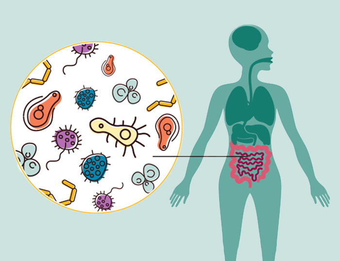 Microbiota y su influencia en nuestra salud